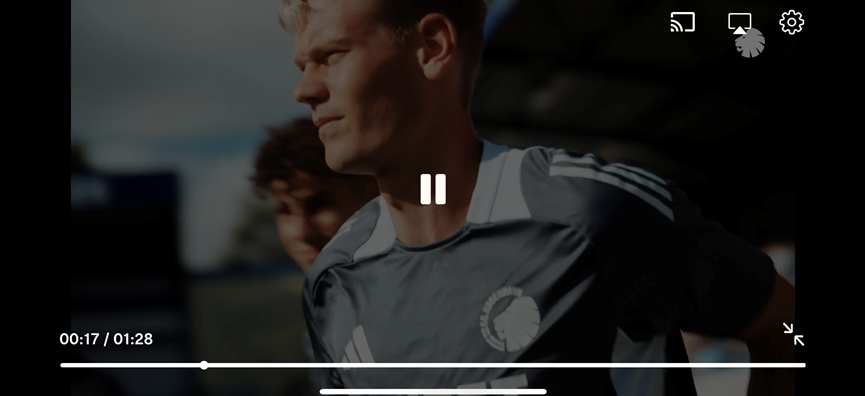 Skærmbillede 2024-08-13 101705.png